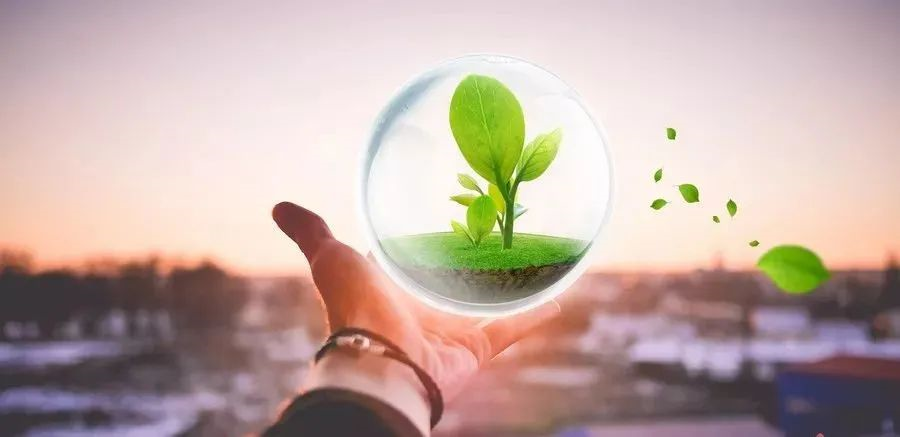 凱創(chuàng)感染類疾病診斷的三大利器:CRP、SAA和PCT